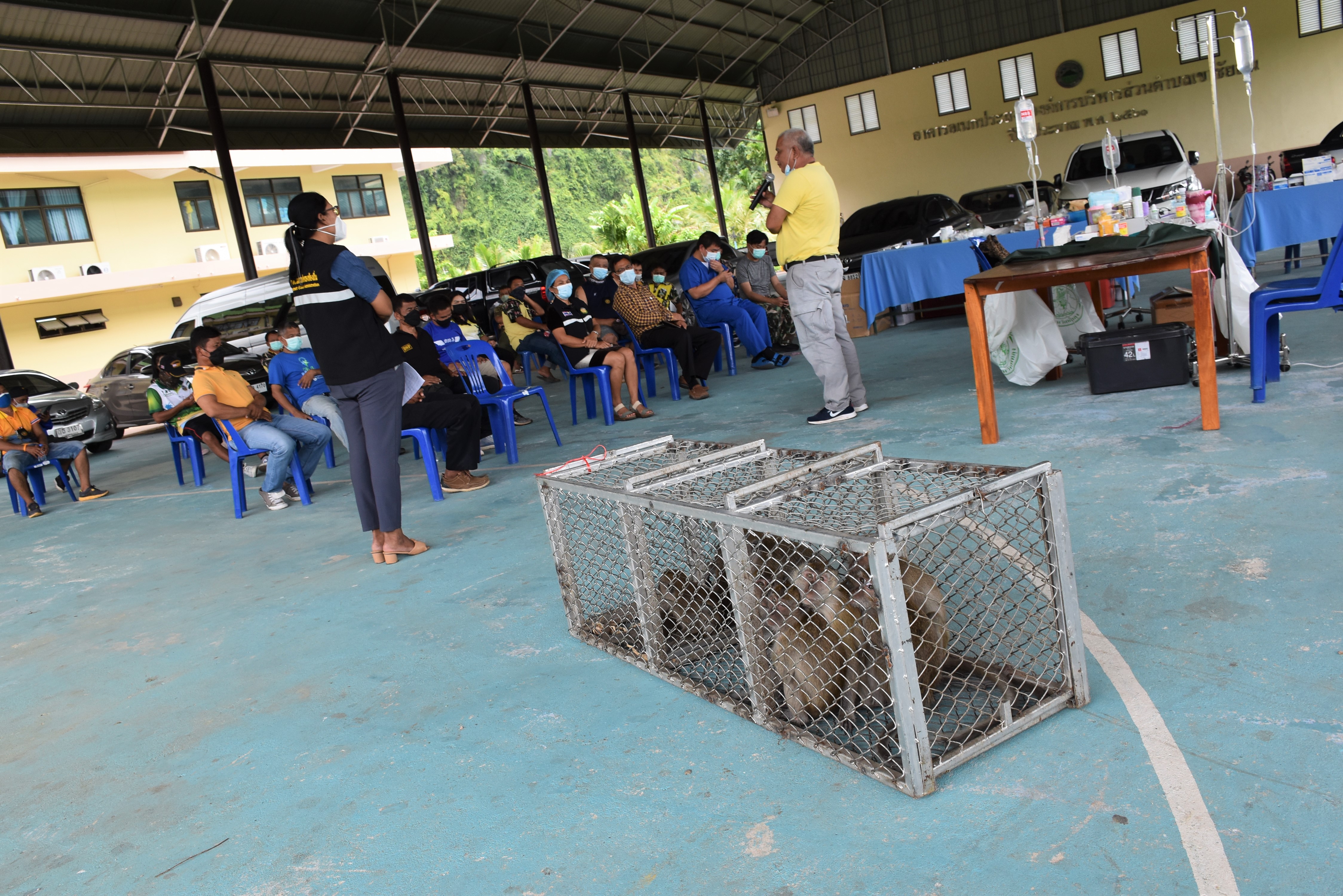 โครงการความร่วมมือลดประขากรศาสตร์ชนิดลิง